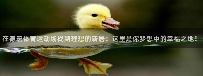 熊猫体育直播nba：在德宏体育运动场找到理想的新居：这里是你梦想中的幸福之地！