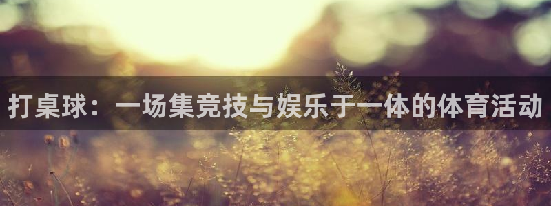 熊猫体育网站：打桌球：一场集竞技与娱乐于一体的体育活动