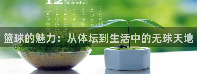 熊猫体育官方网站：篮球的魅力：从体坛到生活中的无球天地