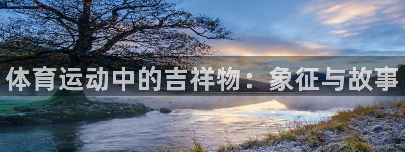 熊猫体育手机版下载：体育运动中的吉祥物：象征与故事