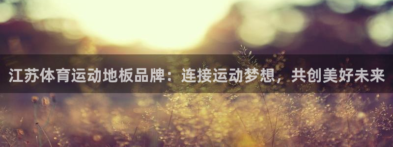 熊猫体育怎么样：江苏体育运动地板品牌：连接运动梦想，共创美好未来