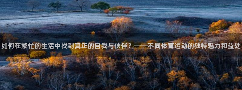 熊猫体育在线：如何在繁忙的生活中找到真正的自我与伙伴？——不同体育运动的独特魅力和益处