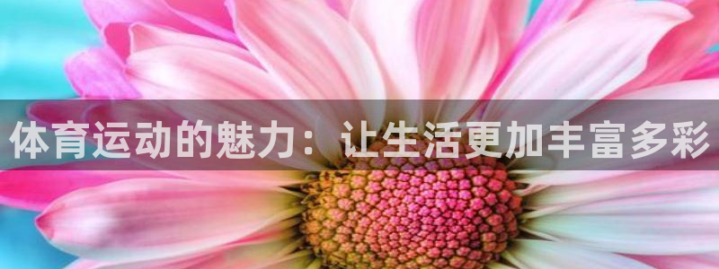熊猫体育官方网站：体育运动的魅力：让生活更加丰富多彩