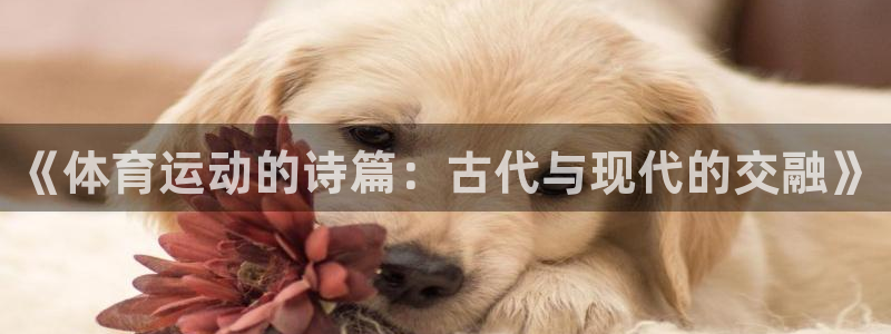 熊猫体育网址：《体育运动的诗篇：古代与现代的交融》