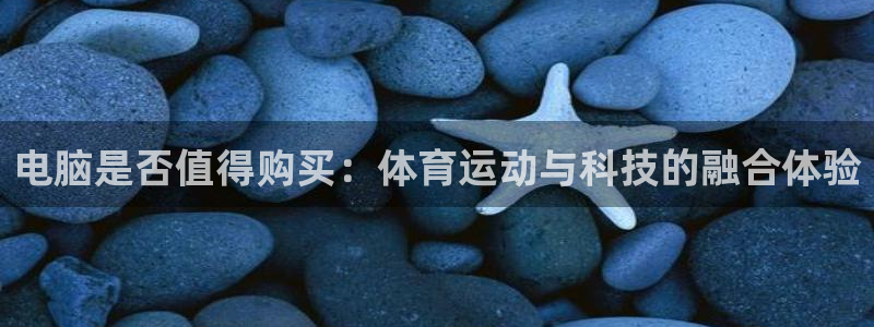成都金熊猫体育：电脑是否值得购买：体育运动与科技的融合体验