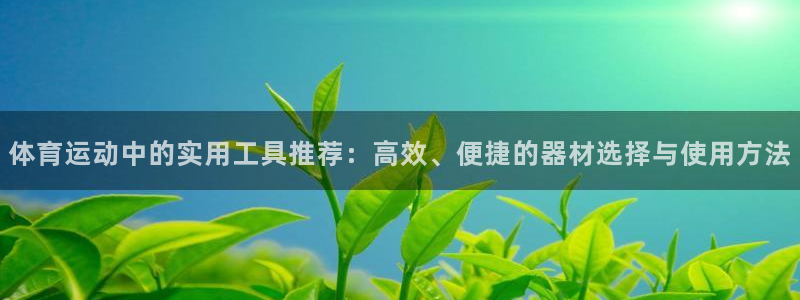 181熊猫体育