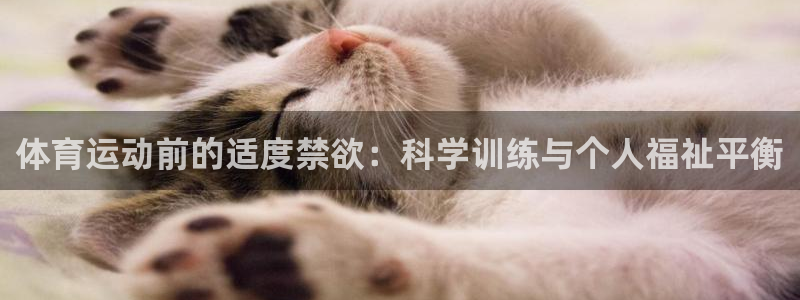 熊猫体育app官方下载最新版
