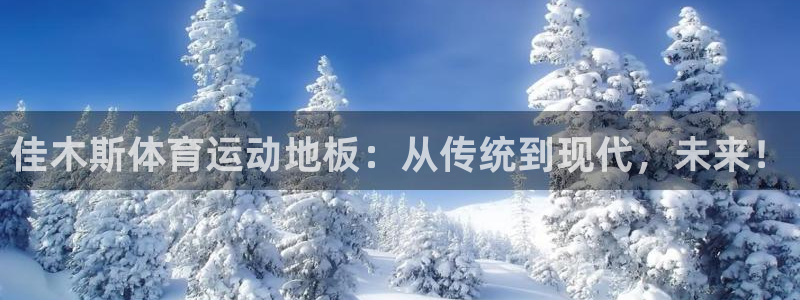 熊猫体育app下载安装
