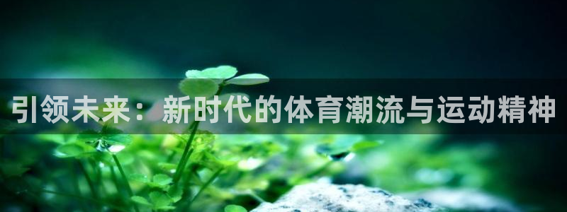 熊猫体育app官网入口：引领未来：新时代的体育潮流与运动精神