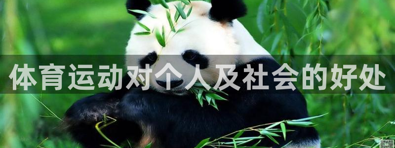中山熊猫体育：体育运动对个人及社会的好处