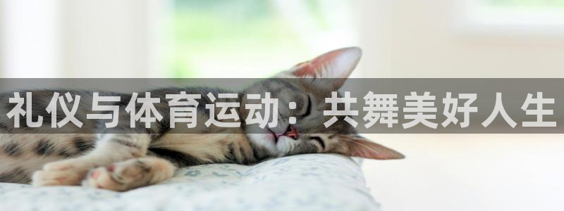 熊猫体育app官方入口：礼仪与体育运动：共舞美好人生